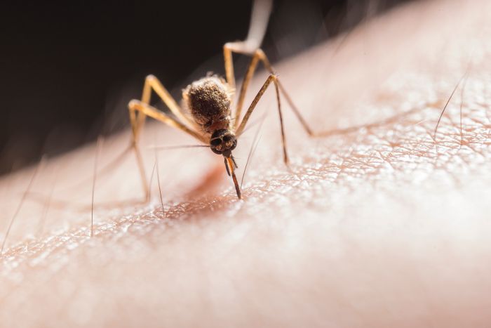 Begin deze week begonnen met vaccinaties tegen dengue